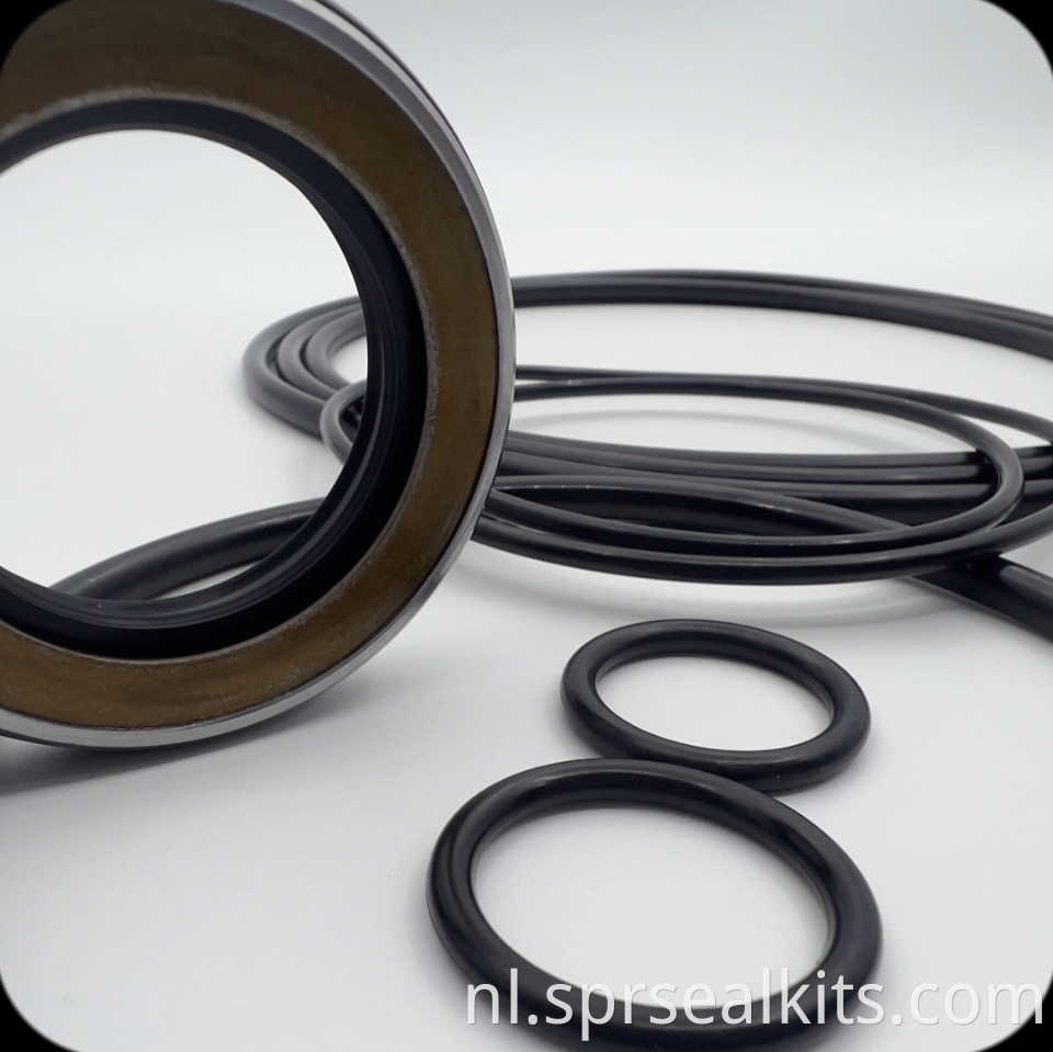 62 Swing Motor Seal Kit